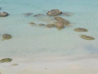 サムイ島は海のベストシーズン05